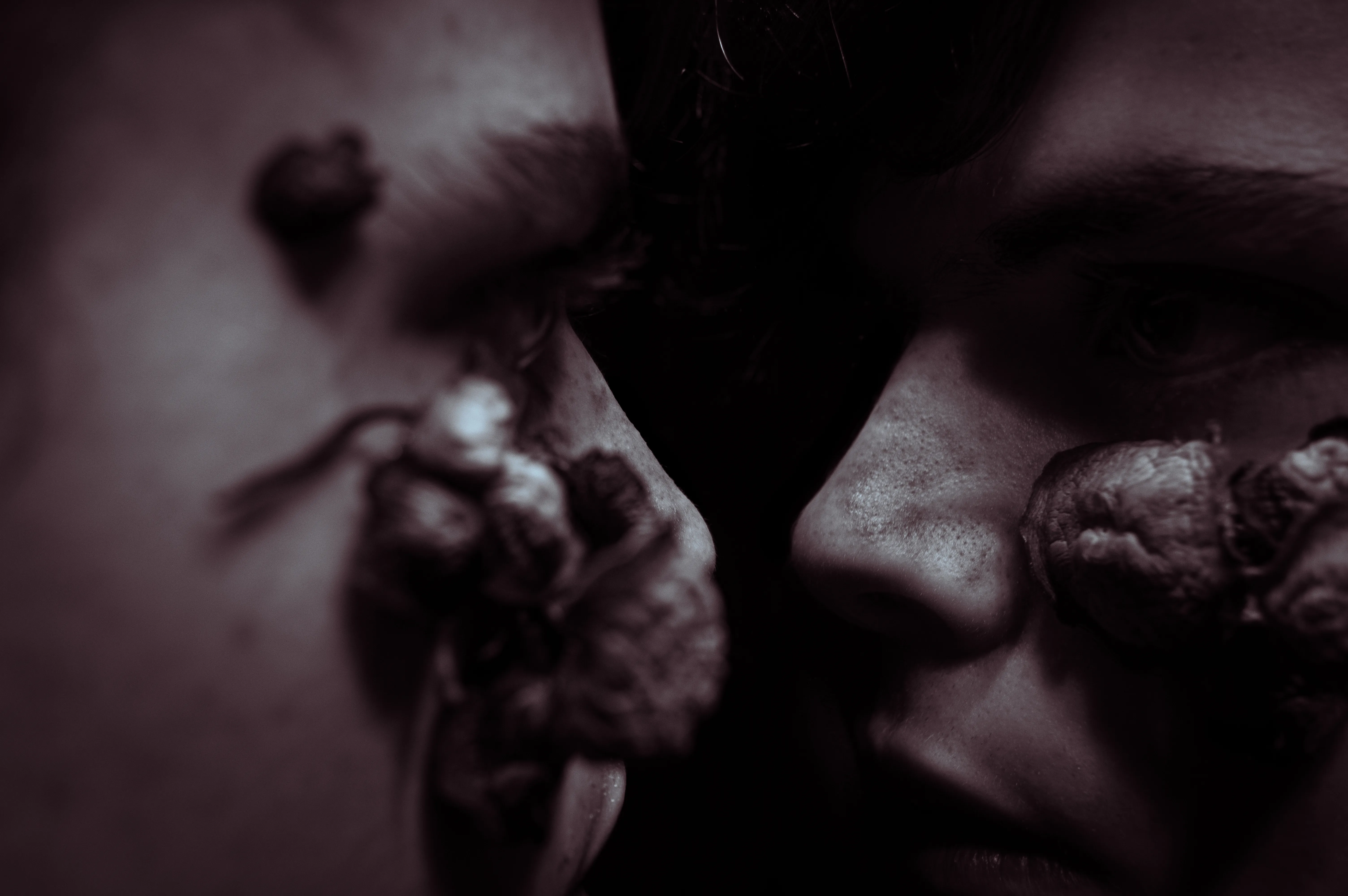 We All Must Decay
