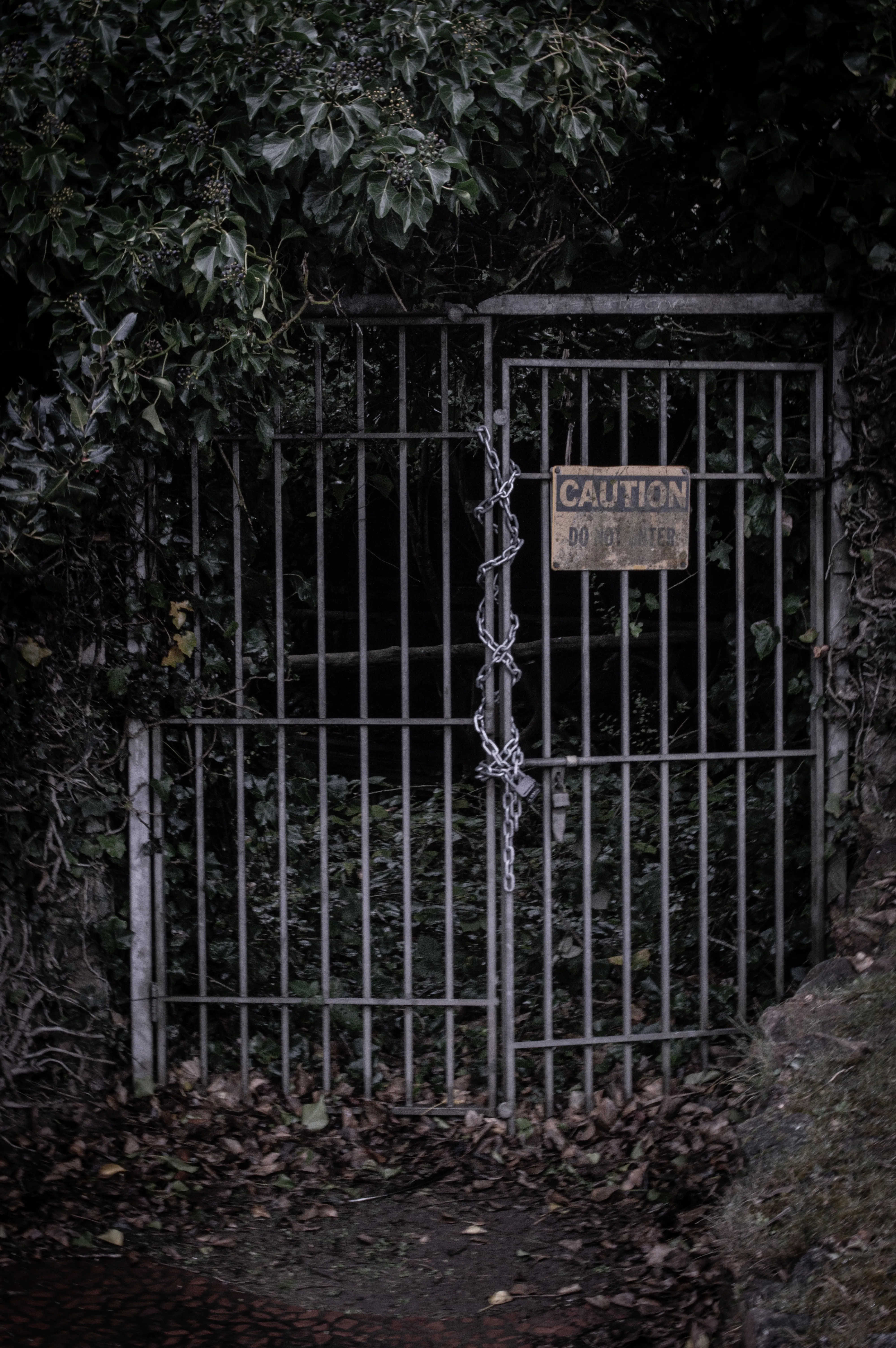 Whos In There